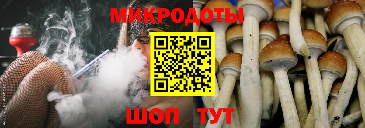 Псилоцибиновые грибы MAGIC MUSHROOMS  Вход с VPN  Красноармейск  Псилоцибиновые грибы прущие грибы 